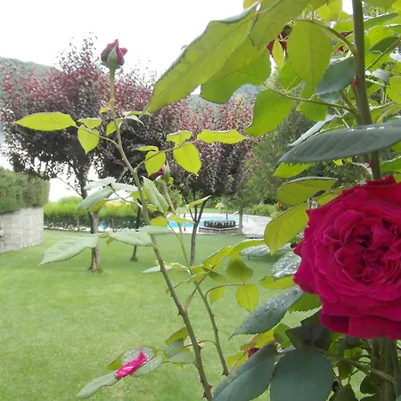 דירה Villmor - B53 - Coma De Alba, 1º *