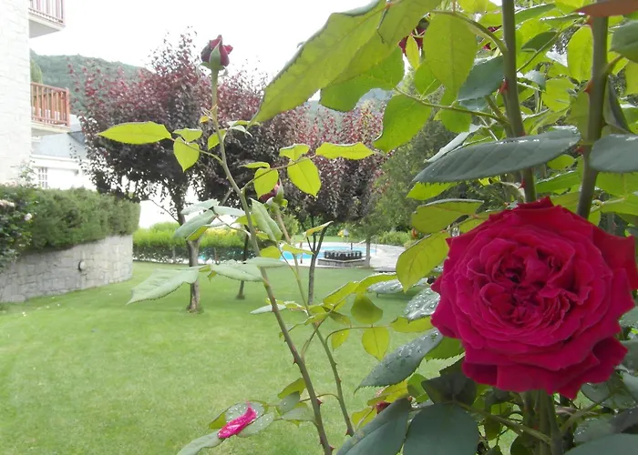 דירה Villmor - B53 - Coma De Alba, 1º *